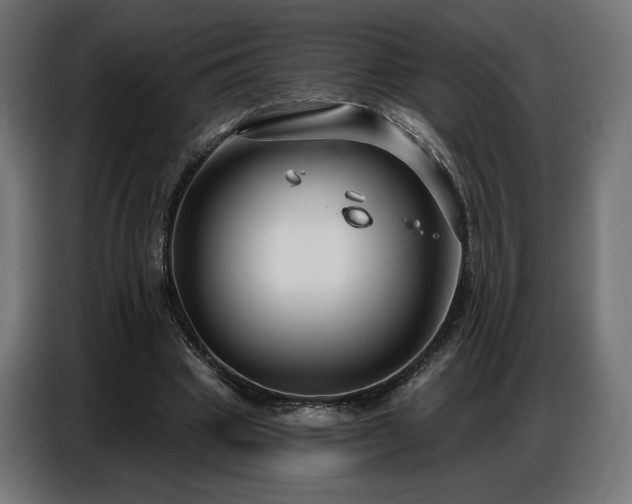 X0000086880441200704161225