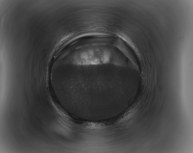 X0000086880442200704161225