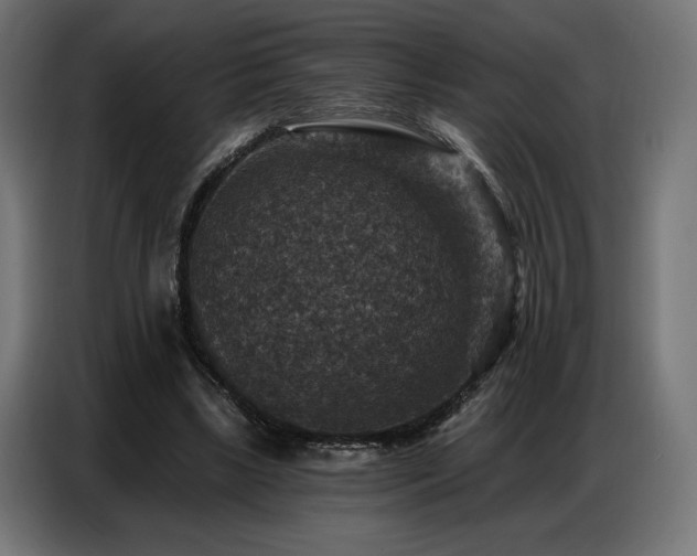 X0000086880443200704161225