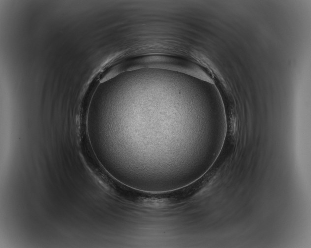 X0000086880444200704161225