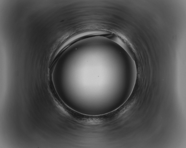 X0000086880445200704161225