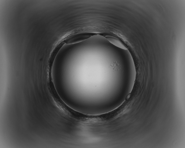 X0000086880446200704161225