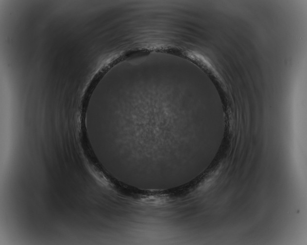 X0000086880447200704161225