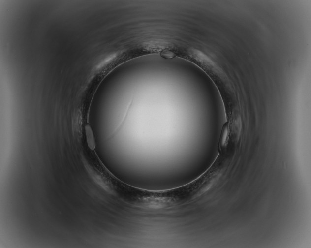 X0000086880448200704161225