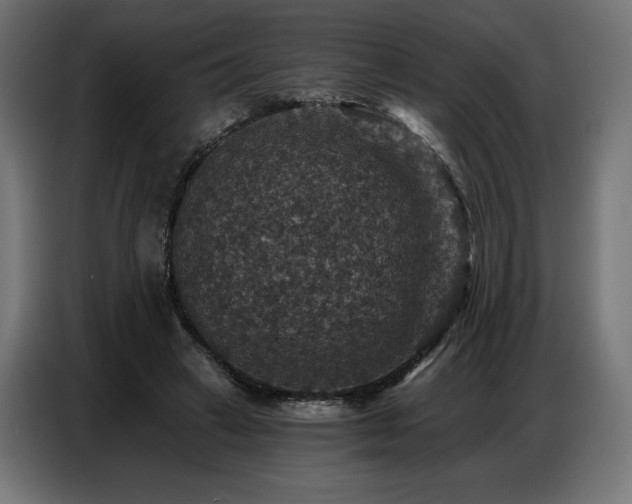 X0000086880449200704161225