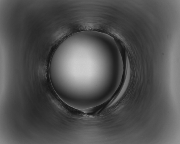 X0000086880450200704161225