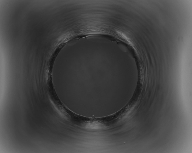 X0000086880451200704161225