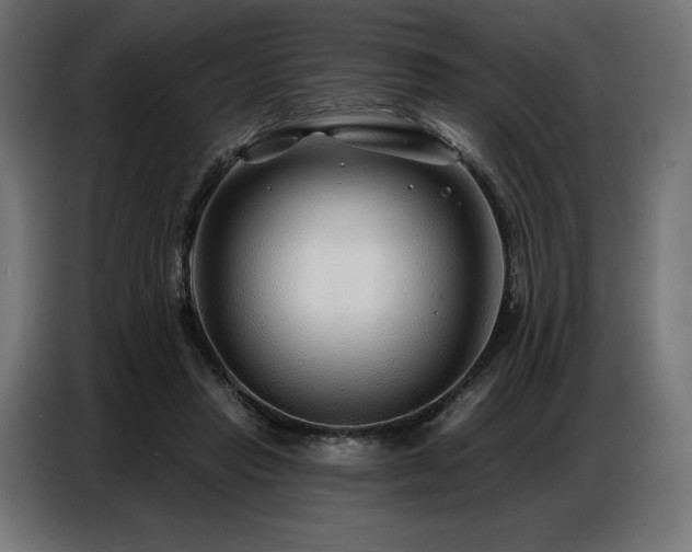 X0000086880453200704161225