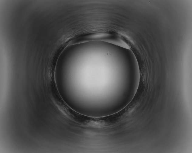 X0000086880455200704161225