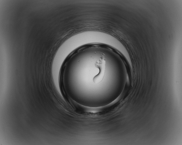 X0000086880456200704161225