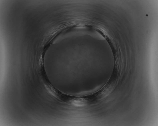 X0000086880459200704161225