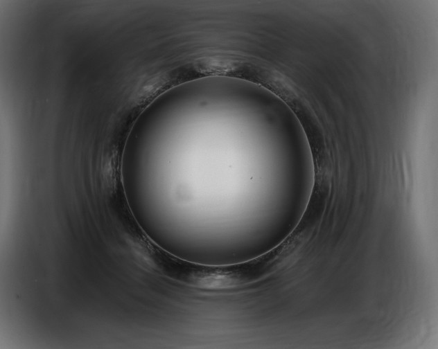 X0000086880460200704161225