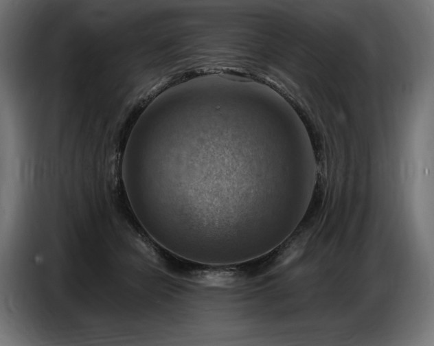 X0000086880462200704161225