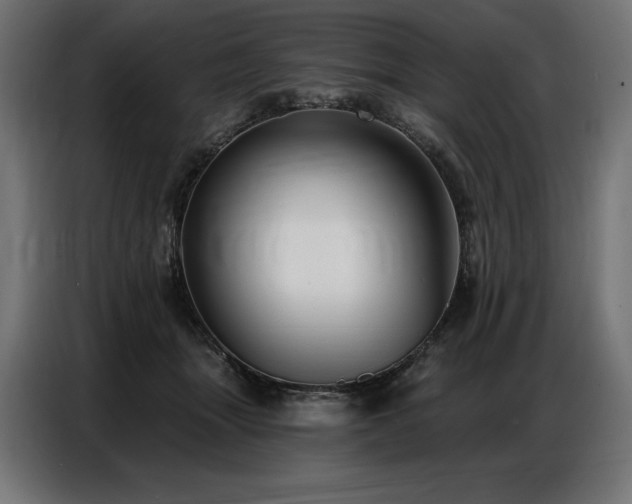 X0000086880463200704161225