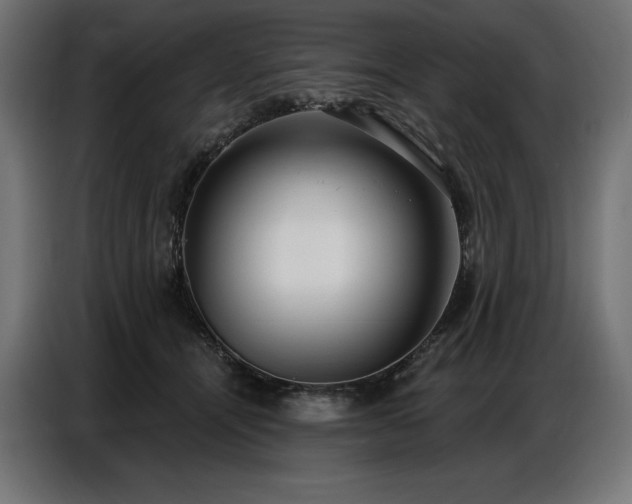 X0000086880464200704161225