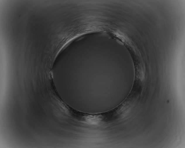 X0000086880465200704161225