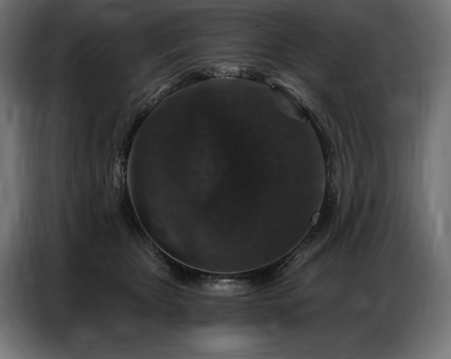 X0000086880467200704161225