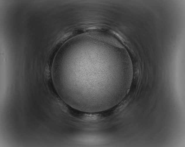 X0000086880469200704161225