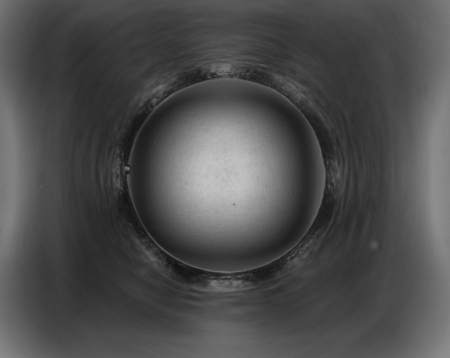 X0000086880470200704161225