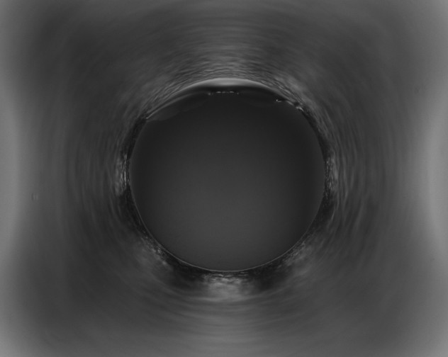 X0000086880471200704161225