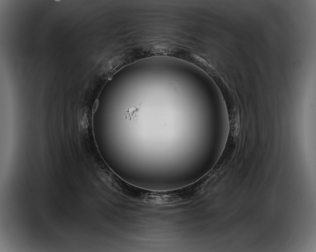 X0000086880472200704161225