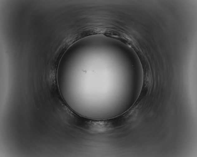 X0000086880473200704161225