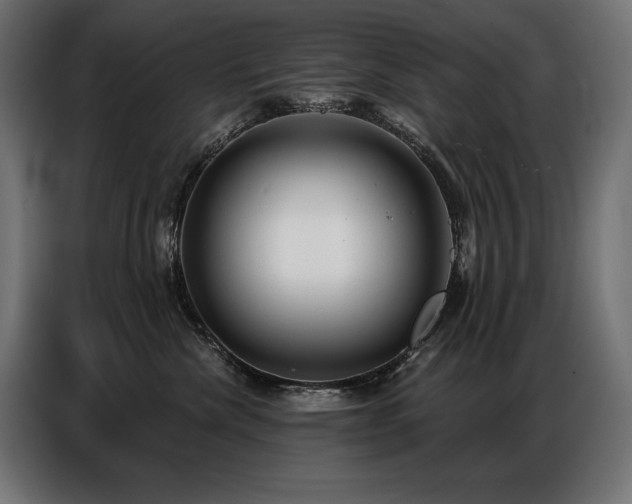 X0000086880476200704161225