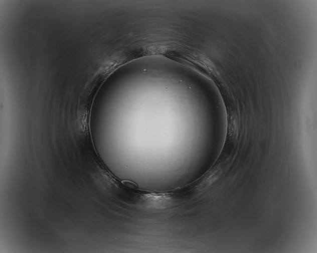 X0000086880477200704161225