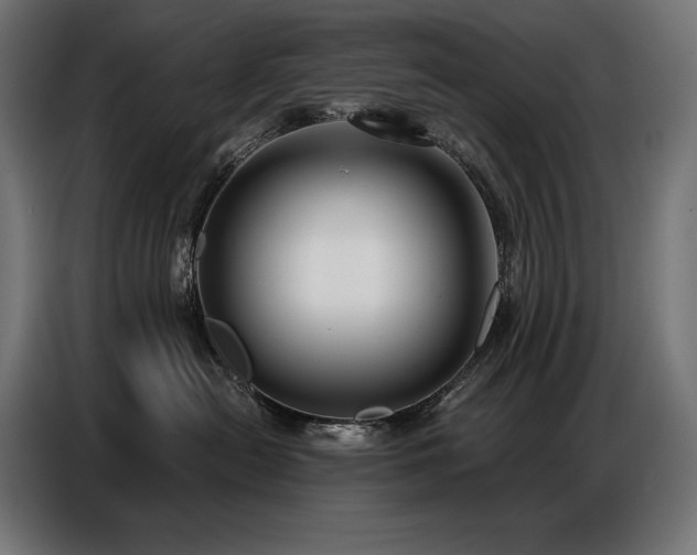 X0000086880478200704161225