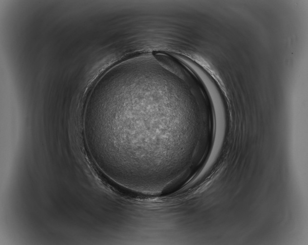 X0000086880481200704161224