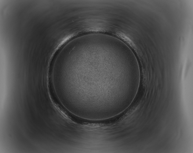 X0000086880482200704161224