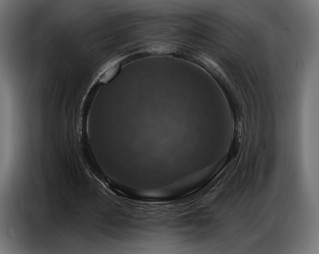 X0000086880484200704161224