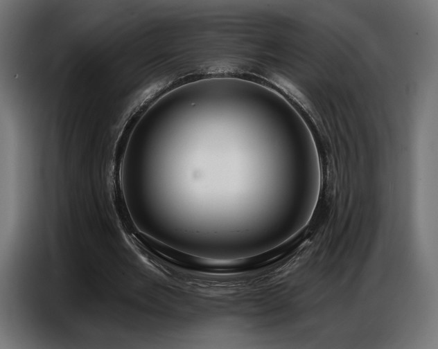 X0000086880485200704161224