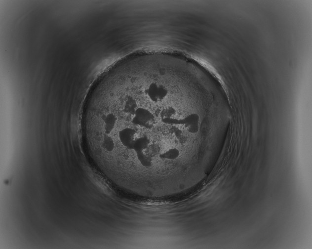 X0000086880487200704161224