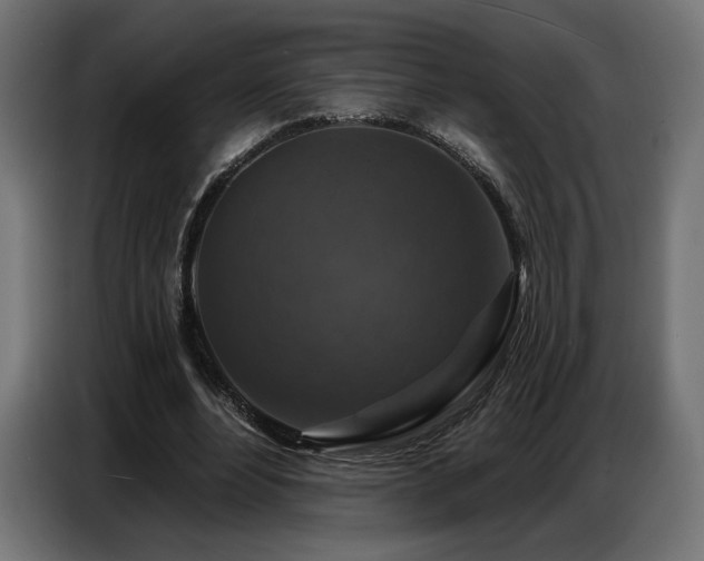 X0000086880488200704161224