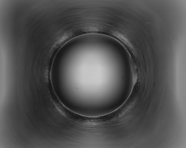 X0000086880489200704161224