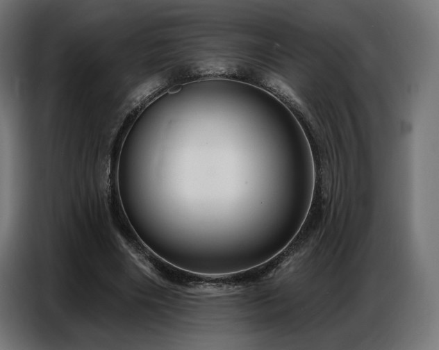 X0000086880490200704161224