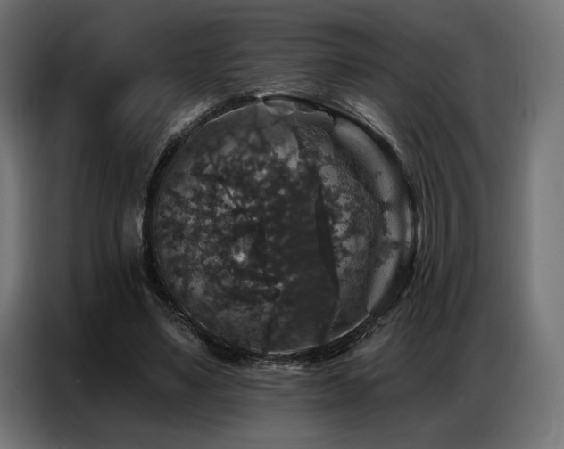 X0000086880491200704161224