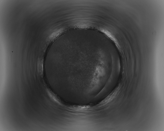 X0000086880493200704161224