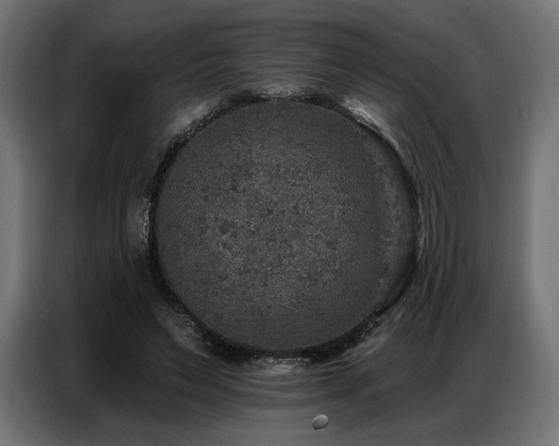 X0000086880495200704161224