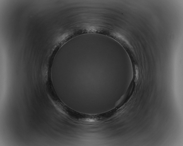 X0000086880496200704161224