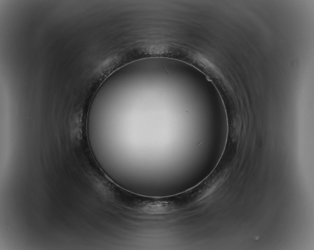 X0000086880497200704161224