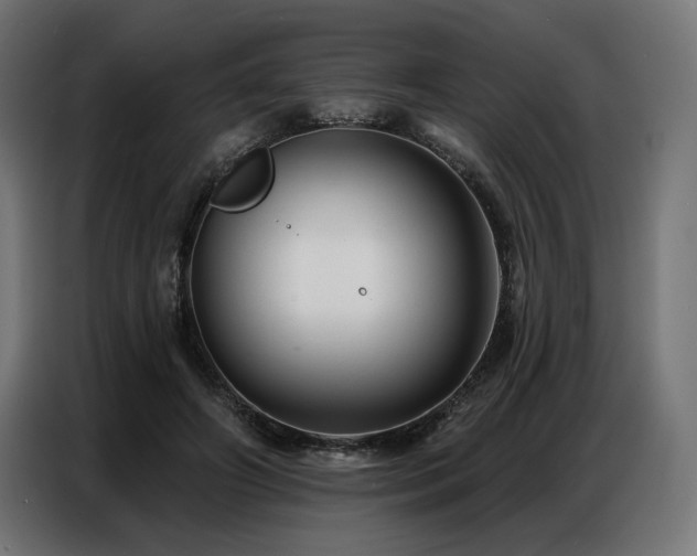 X0000086880498200704161224