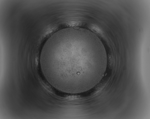 X0000086880499200704161224