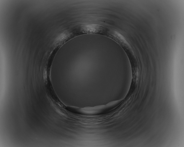 X0000086880500200704161224