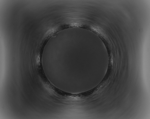 X0000086880502200704161224