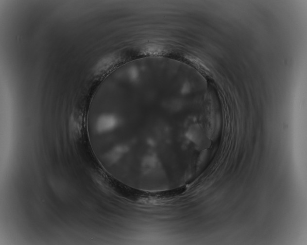 X0000086880503200704161224