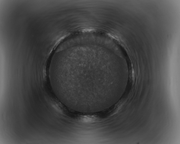 X0000086880508200704161224