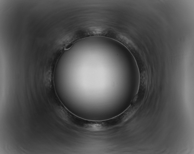 X0000086880509200704161224