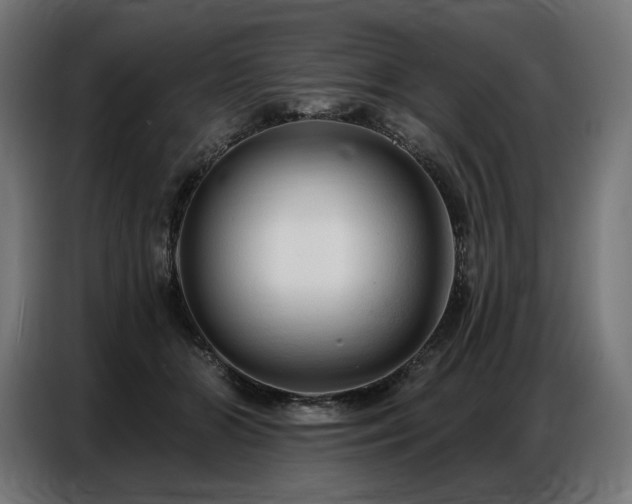 X0000086880510200704161224